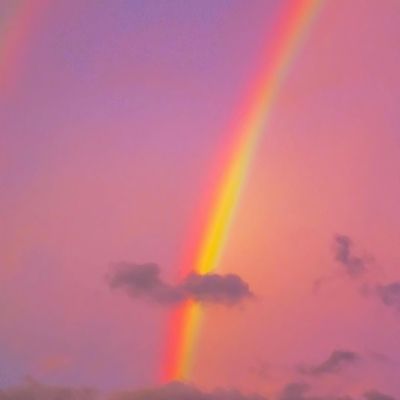 梦幻花小骨破解版下载